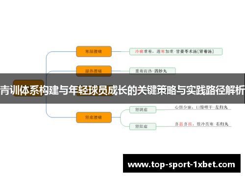 青训体系构建与年轻球员成长的关键策略与实践路径解析 青训体系构建与年轻球员成长的关键策略与实践路径解析