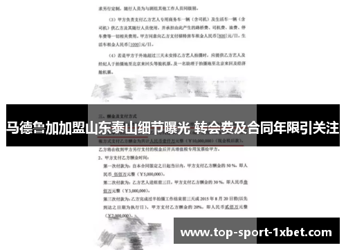 马德鲁加加盟山东泰山细节曝光 转会费及合同年限引关注