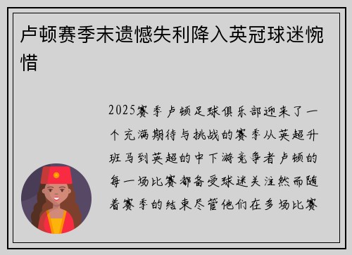 卢顿赛季末遗憾失利降入英冠球迷惋惜